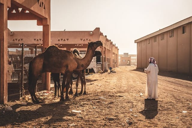 Private Guided Romantic Walking Tour in Al Ain - Photo 1 of 6